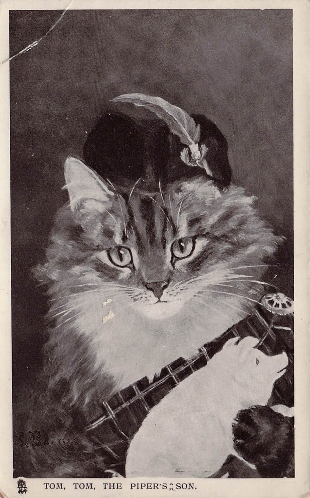 Maine Coon Cat Kitten Fantasy Pig Raphael Tuck Feline Glosso Vtg Postcard E10