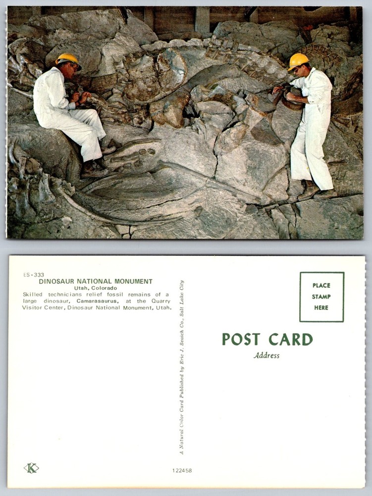 Dinosaur National Monument Utah Quarry Visitor Center Camarasaurus Postcard