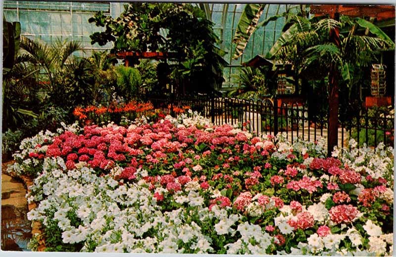 Postcard GARDEN SCENE Birmingham Alabama AL m/09 AK3347