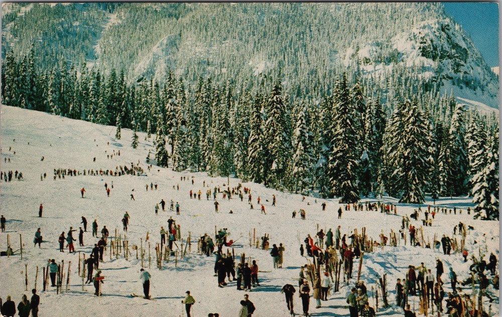 Skiers at Snoqualmie Summit Ski Area, Snow Scene Washington Postcard Unposted