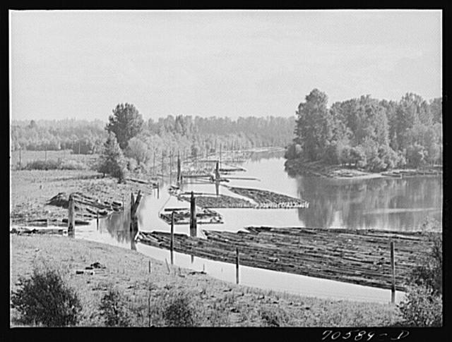 Photo:Log raft in Columbia River. Cowlitz County, Washington
