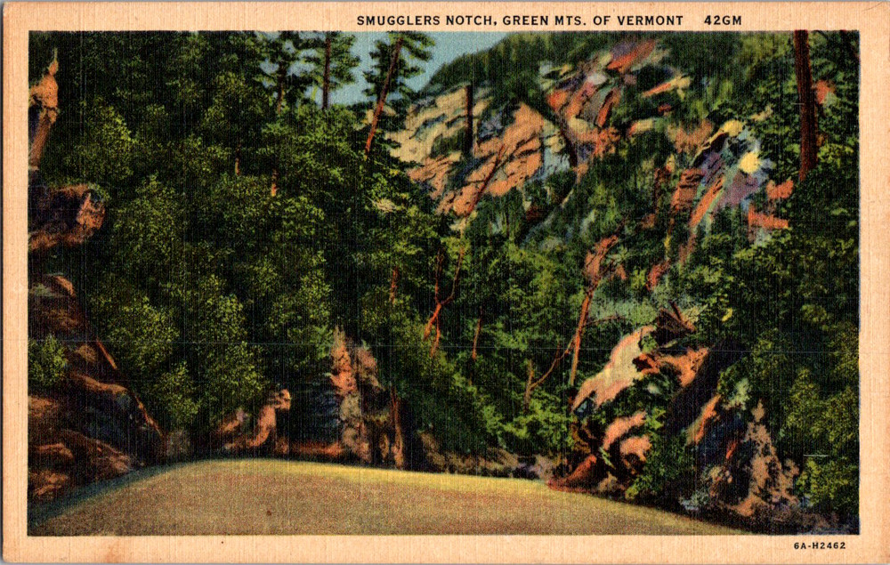 Vintage Postcard Vermont Smugglers Notch Green Mountains Forest Road