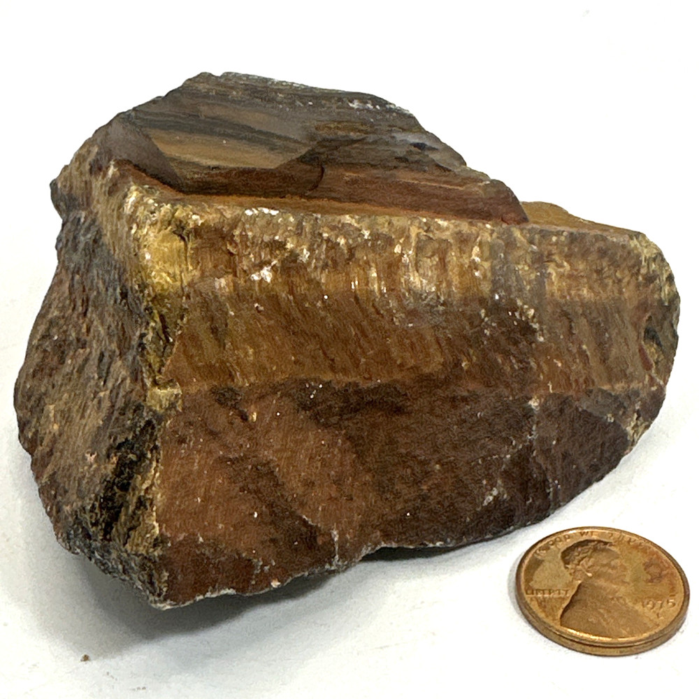 Beautiful Yellow or Golden Tigers Eye Specimen 295 Grams