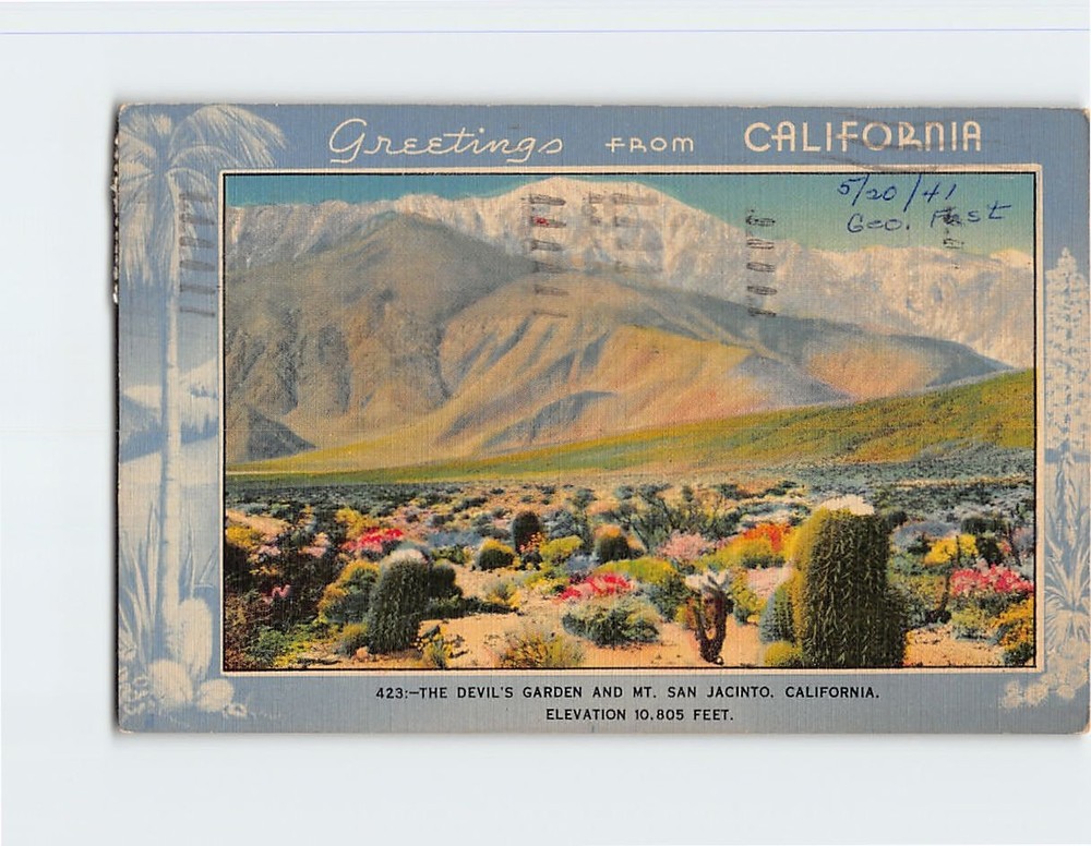 Postcard Devil's Garden & Mt. San Jacinto California USA
