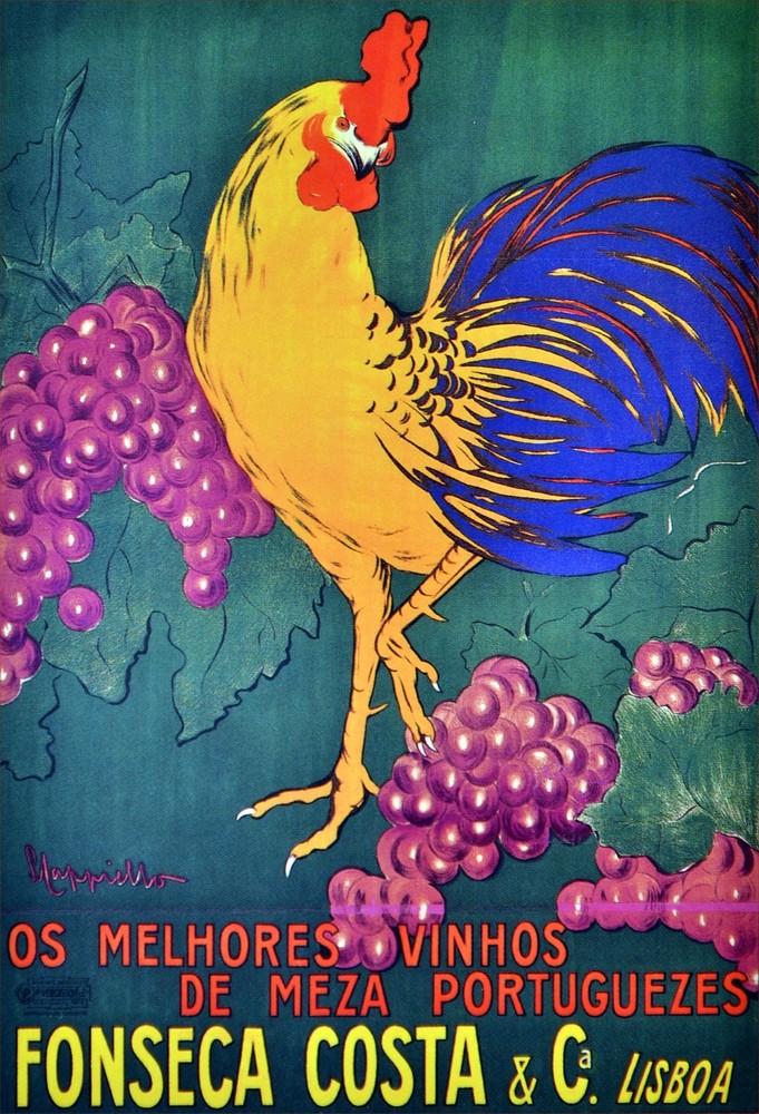 Wall Decor Poster. Vnhis de meza portuguezes. Graphic Interior Art design. 3805