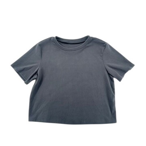 Gray Cropped Short Sleeve Tee Boxy Fit Size L NWT