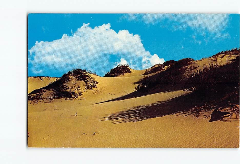 Postcard Sand Dunes on Cape Cod Massachusetts USA North America