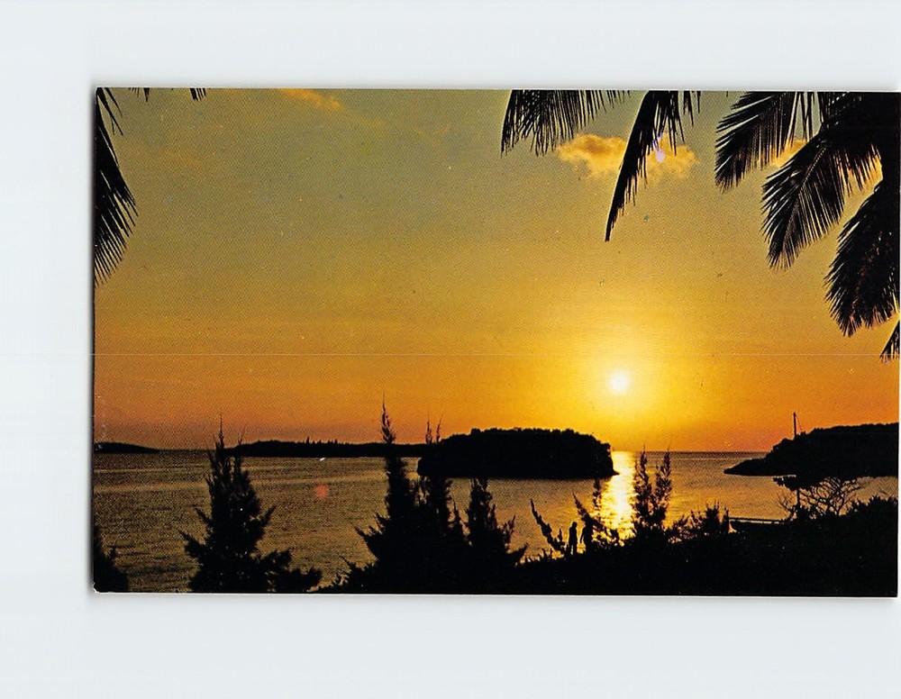 Postcard Tropical Sunset Along Florida
