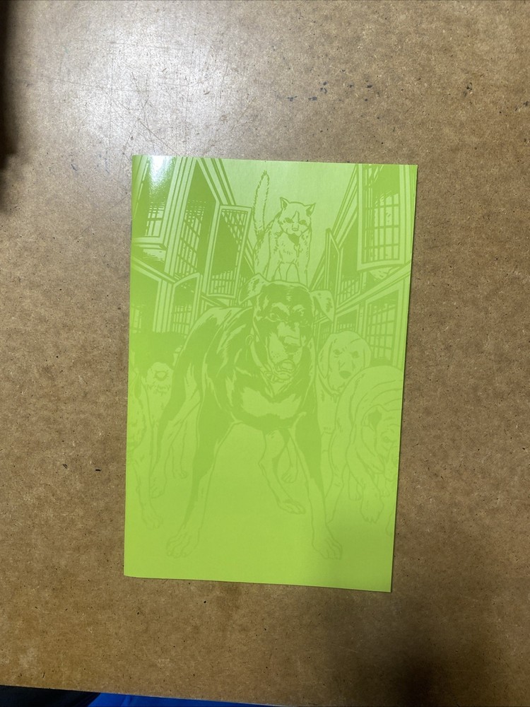 Animal Pound Pen & Ink #1 Cvr B Spot Uv Var (Mr) Boom! Studios 2024 Nm