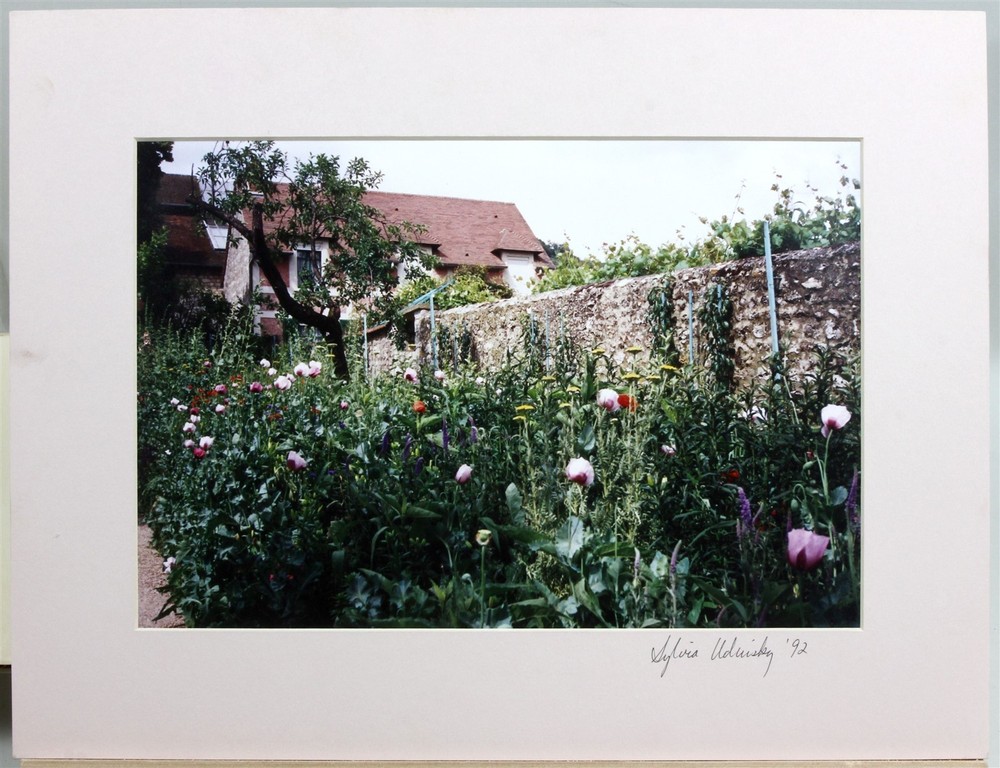Photograph Savannah Georgia Artist Sylvia Udinsky LONDON ENGLAND BACKYARD GARDEN