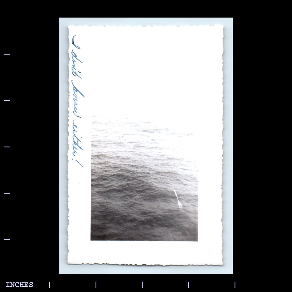 Old Vintage Photo BOAT OAR FLOATING IN WATER