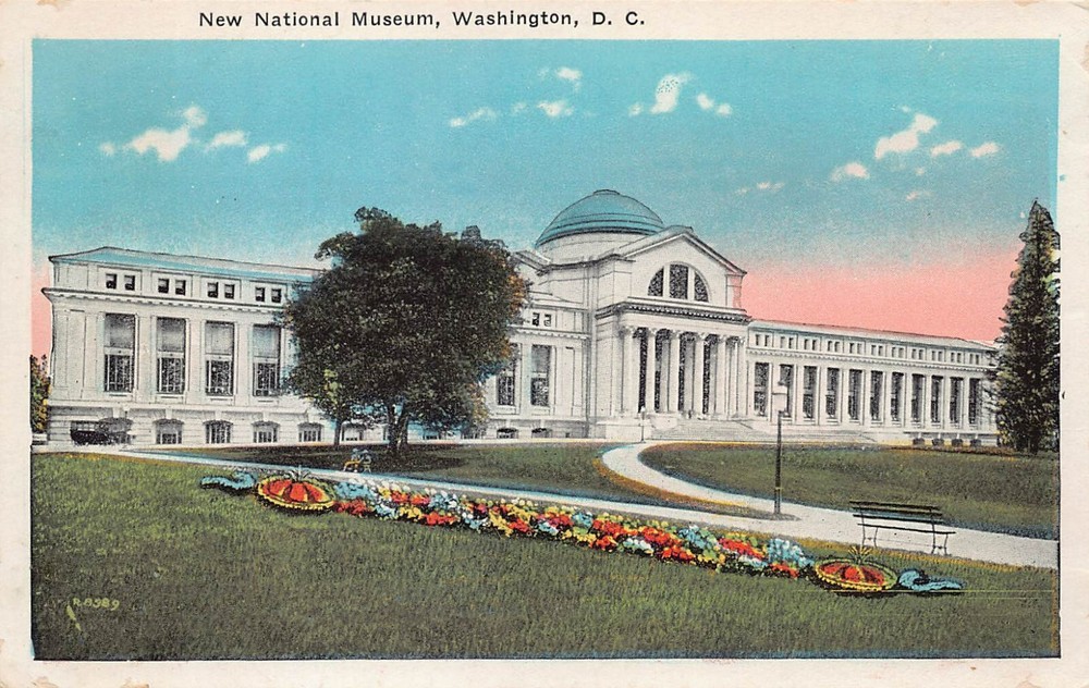 Washington DC Vtg Postcard Patriotic New National Museum 1920s L6