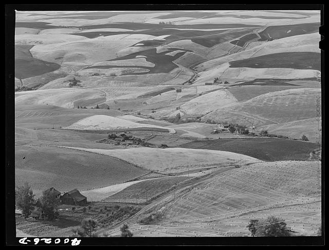 Nez Perce County Idaho 1941 Wheat Fields Summer Fallow Rural Landscape