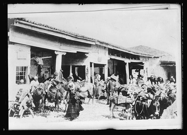 Scutari Albania 1910s Saddle Makers Market Horses Mules Donkeys Bazaar