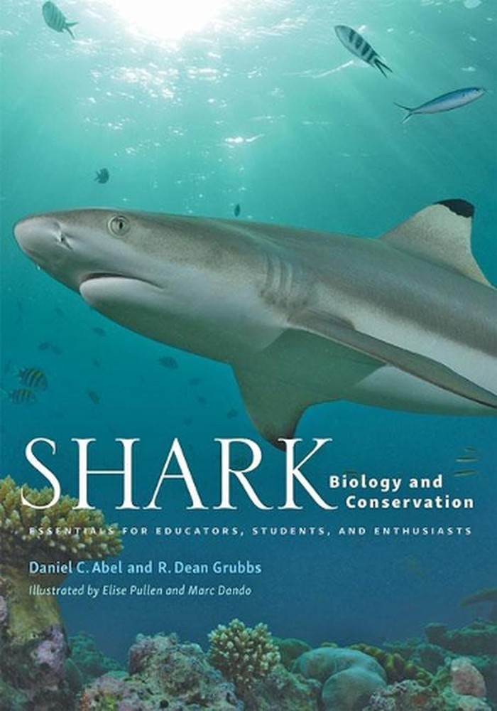 Essential Shark Biology and Conservation Guide for Educators, Students, and Enthusiasts