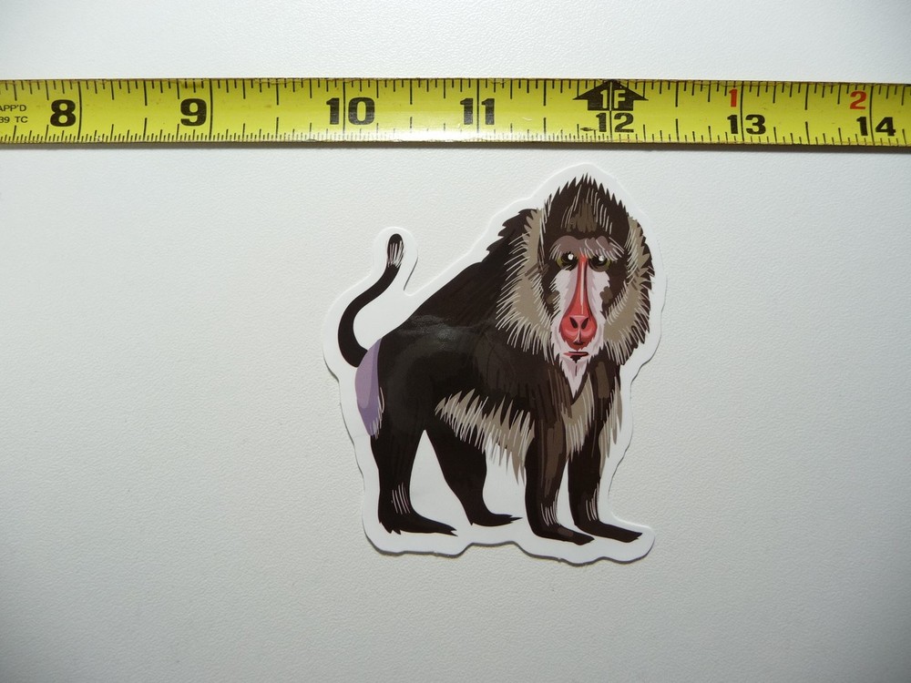 Baboon Zoo Animal Decal Sticker Wild Cute Fun Design
