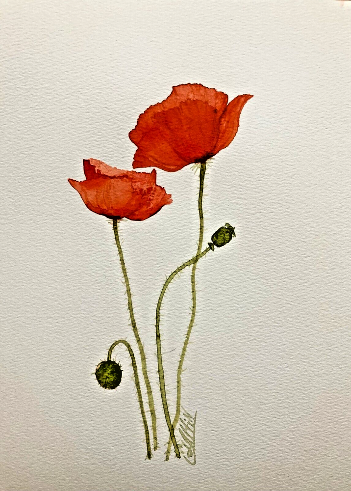 Original Red Poppy Wildflowers Watercolor Painting Floral Artwork