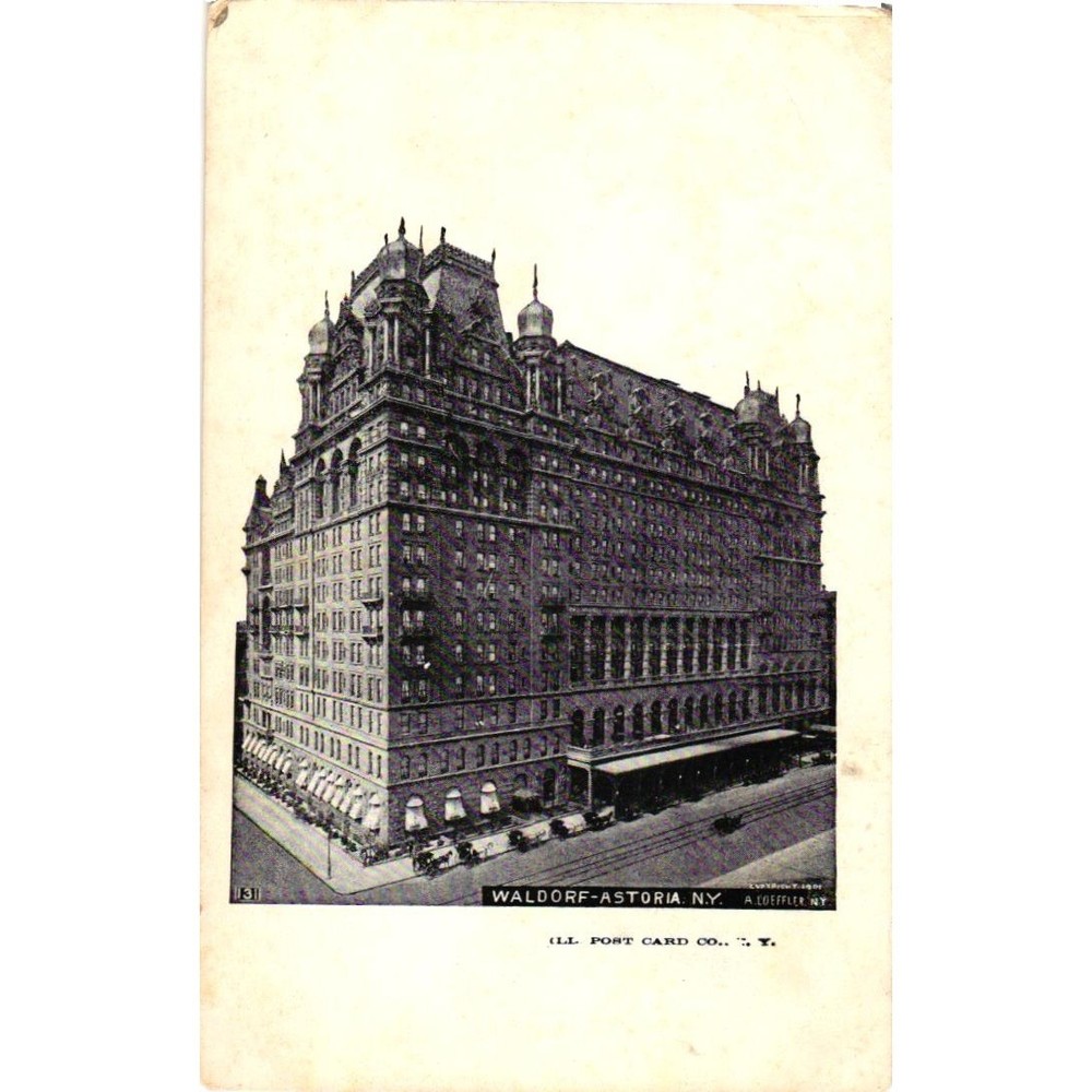 Waldorf-Astoria Hotel New York City Vintage Postcard Early 1900s