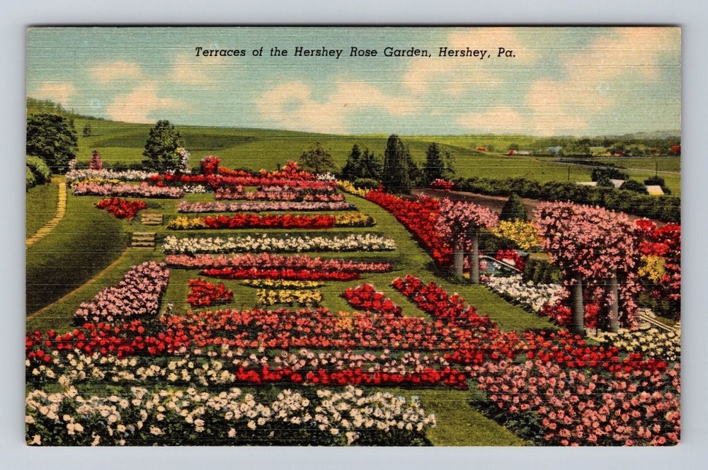 Hershey PA-Pennsylvania, Terraces Of The Hershey Rose Garden, Vintage Postcard