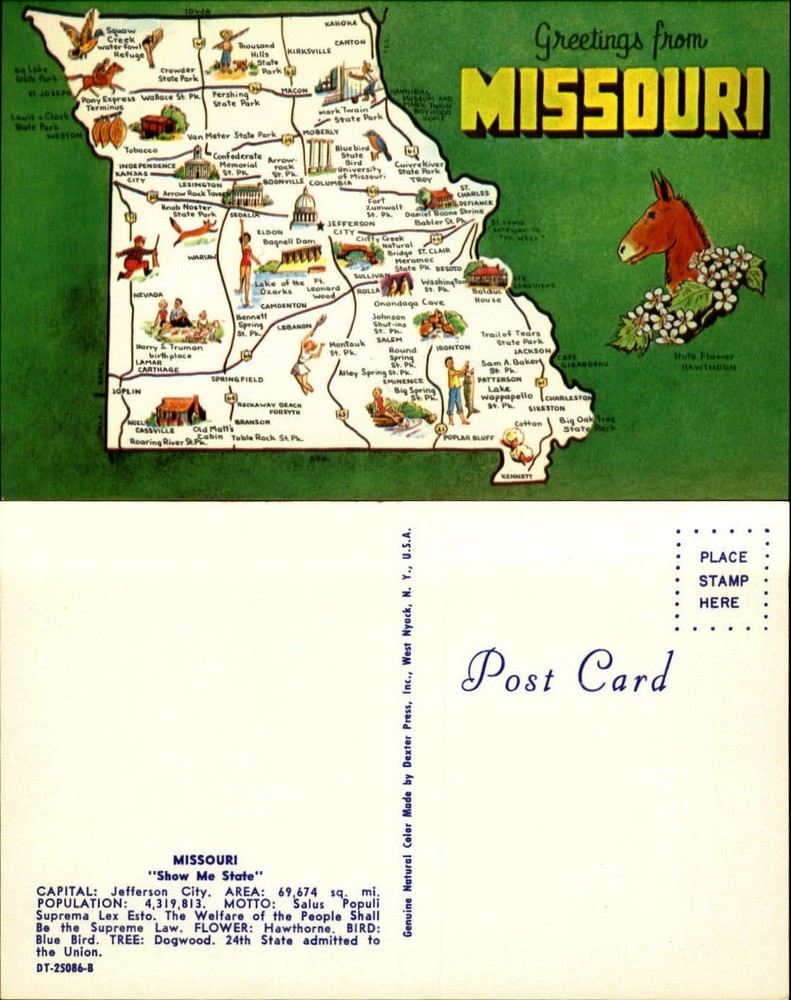 Greetings from Missouri map postcard Hawthorn state flower 1960s