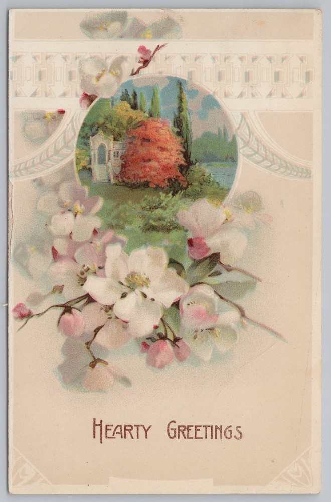 Greetings~Summer Scene~Wild Roses~Vintage Postcard