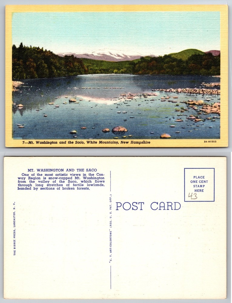 Mt Washington Saco White Mountains New Hampshire Postcard