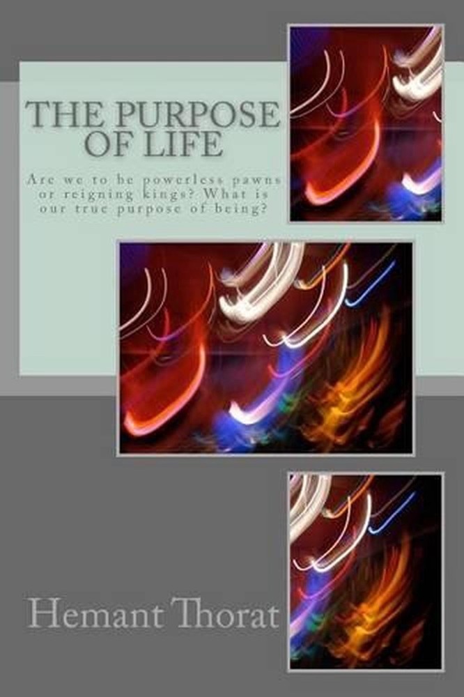 The Purpose of Life: What's life really about? Is it an accident or is there a m