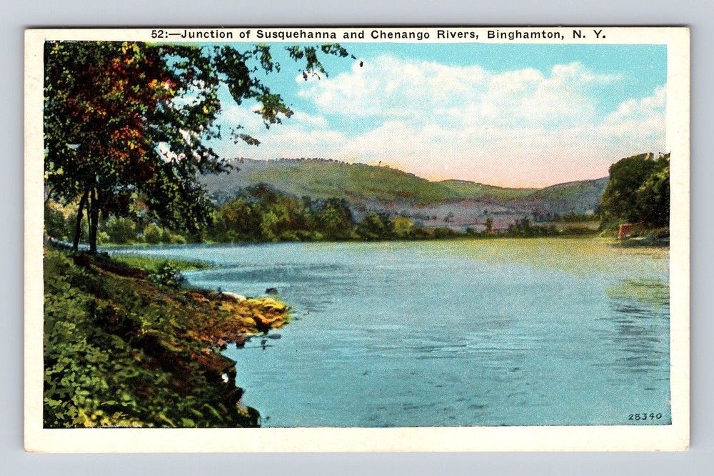 Binghamton NY-New York Junction Of Susquehanna Chenango Rivers Vintage Postcard