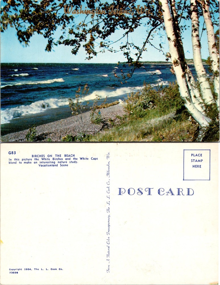 Birches on the Beach Lake Superior Michigan MI Postcard