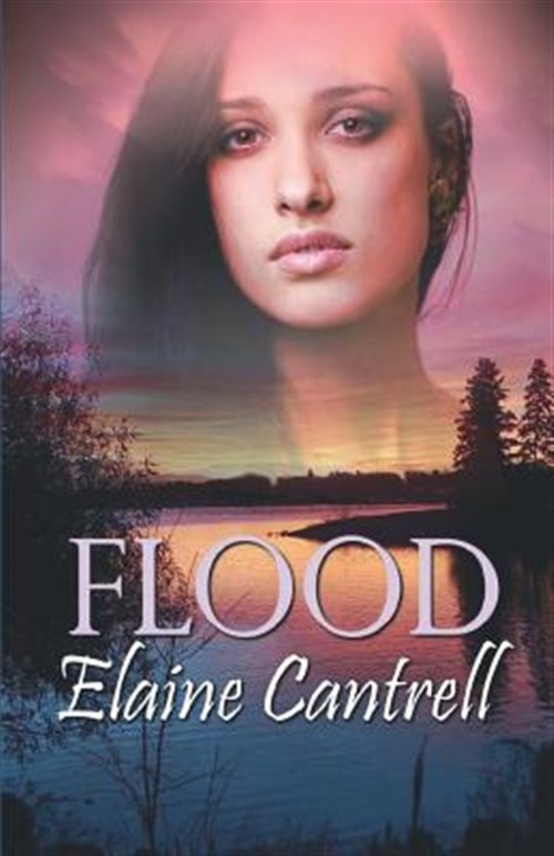 Flood by Cantrell, Elaine, Like New Used, Free shipping in the US