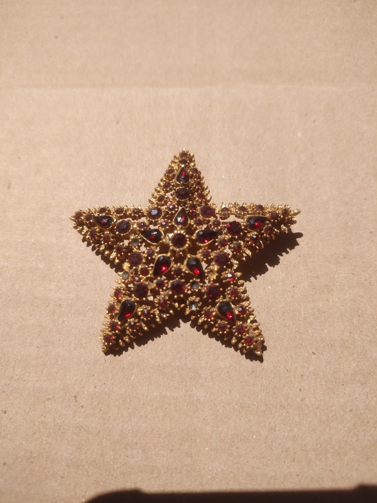 Vintage Garnet Star Brooch