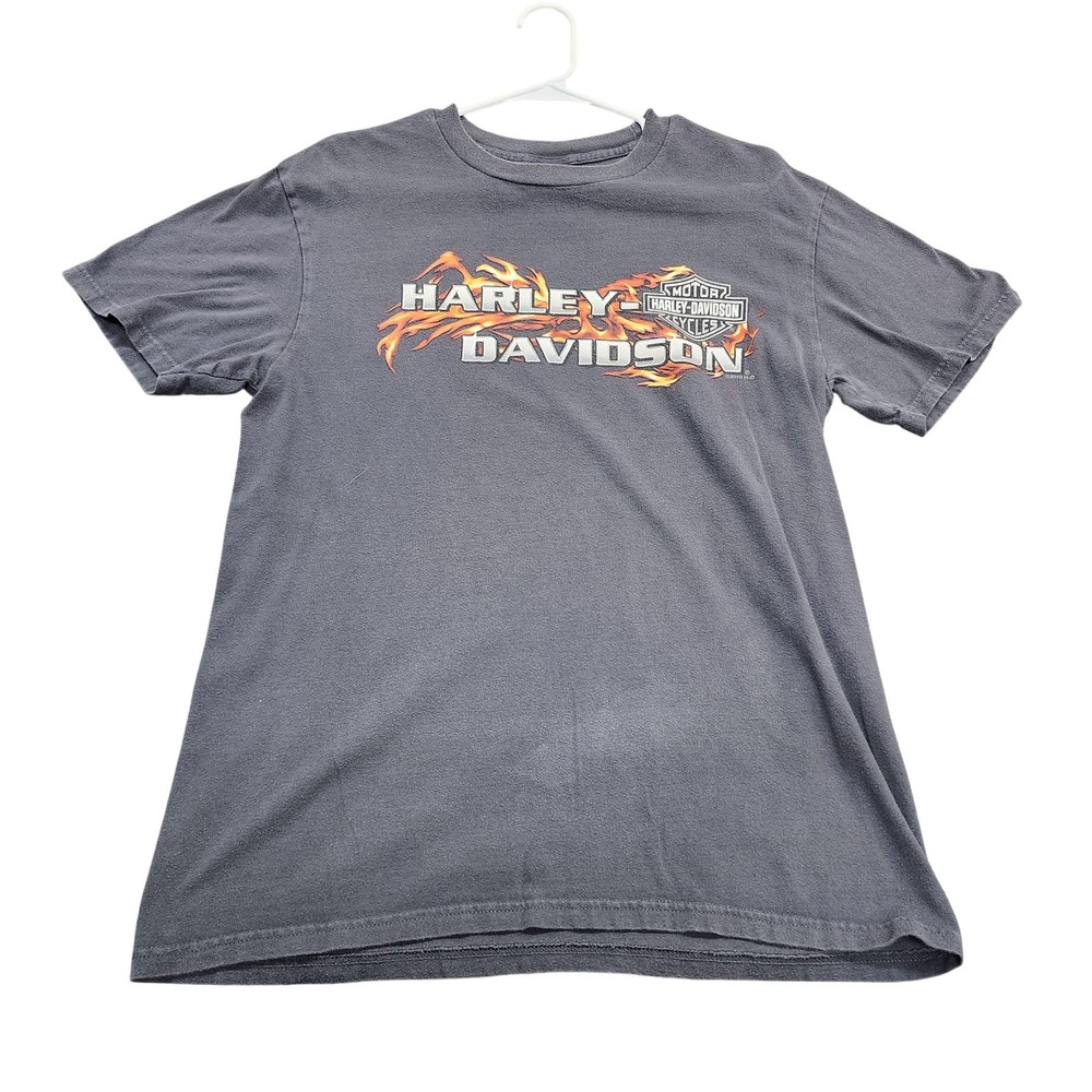 Harley-Davidson Shirt Mens Large Gray Orlando Florida Flames Graphic Tee Biker