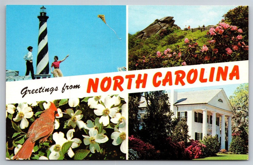 Greetings From NC Split Views Lighthouse Flower Plantation C1960 Postcard D21