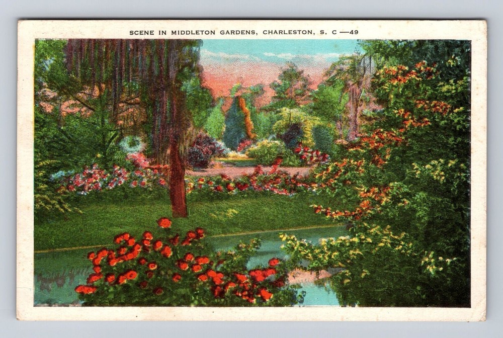 Charleston SC-South Carolina, Scene In Middleton Gardens, Vintage Postcard