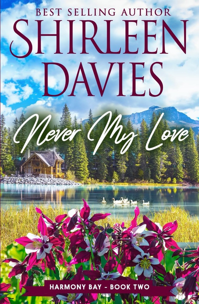 Never My Love: A Contemporary Clean and Wholesome Second Chance Small Town Roman