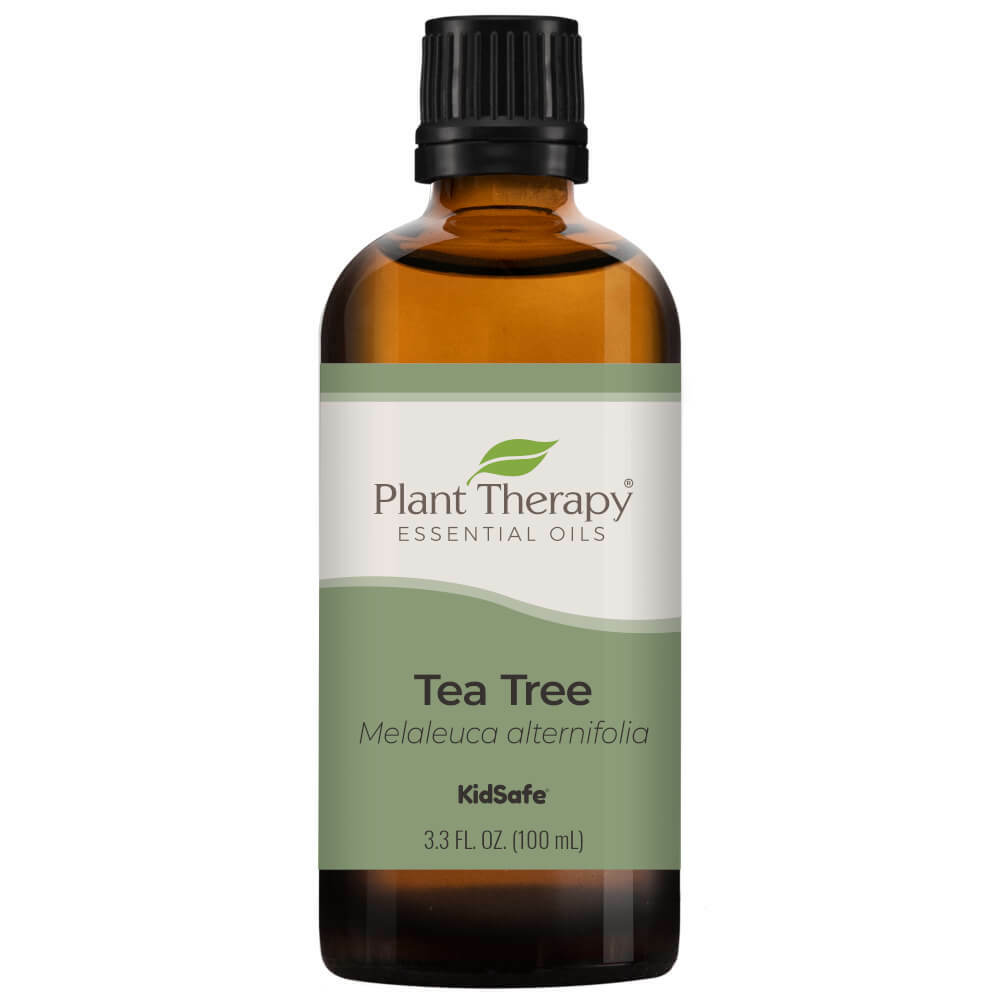 Plant Therapy Essential Oils Tea Tree 100 mL (3.3 oz) 100% Pure- Undiluted