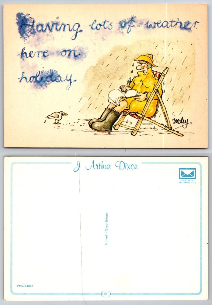 Humorous J Arthur Dixon Postcard - Raining on Holiday Cartoon by Besley