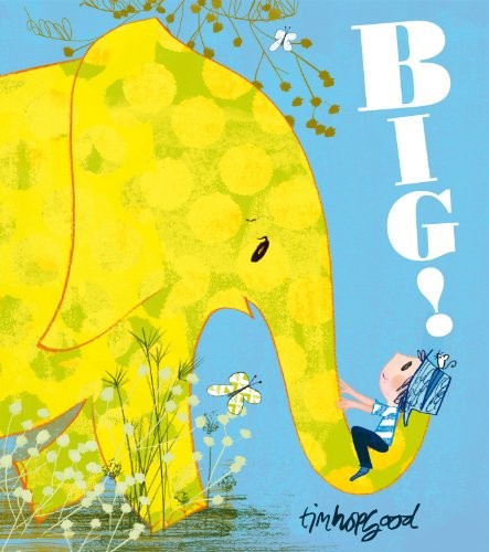 Big! by Hopgood, Tim Book The Fast Free ShippingFREE US DELIVERY | ISBN: 0552564877 | Quality Books