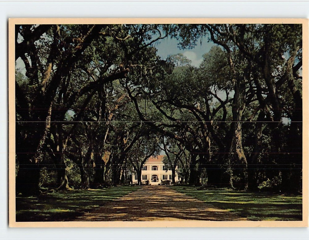 Postcard Live Oak Alley Rosedown Plantation Louisiana USA