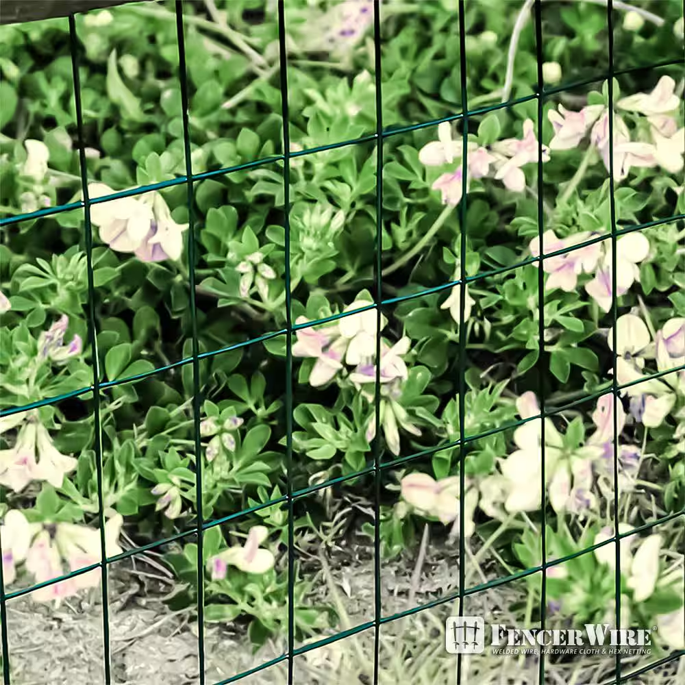 16-Gauge 6ft x 50ft Green Vinyl Coated Welded Wire Fence 3x2 Inch Mesh