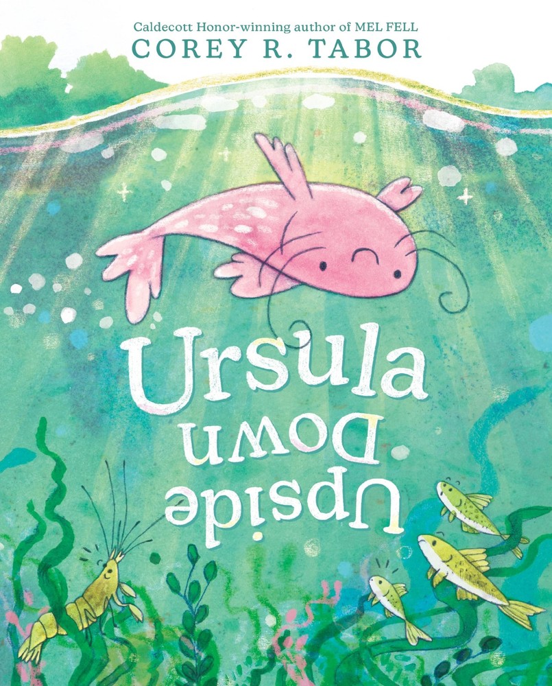 Ursula Upside Down: An Inventive Picture Book Adventure about Finding...