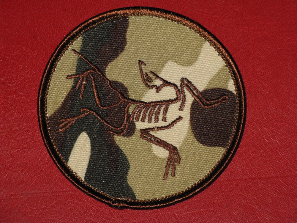 Arc’teryx LEAF CAMO Arcteryx Dead Bird Skeleton Embroidered Patch Multi-Cam