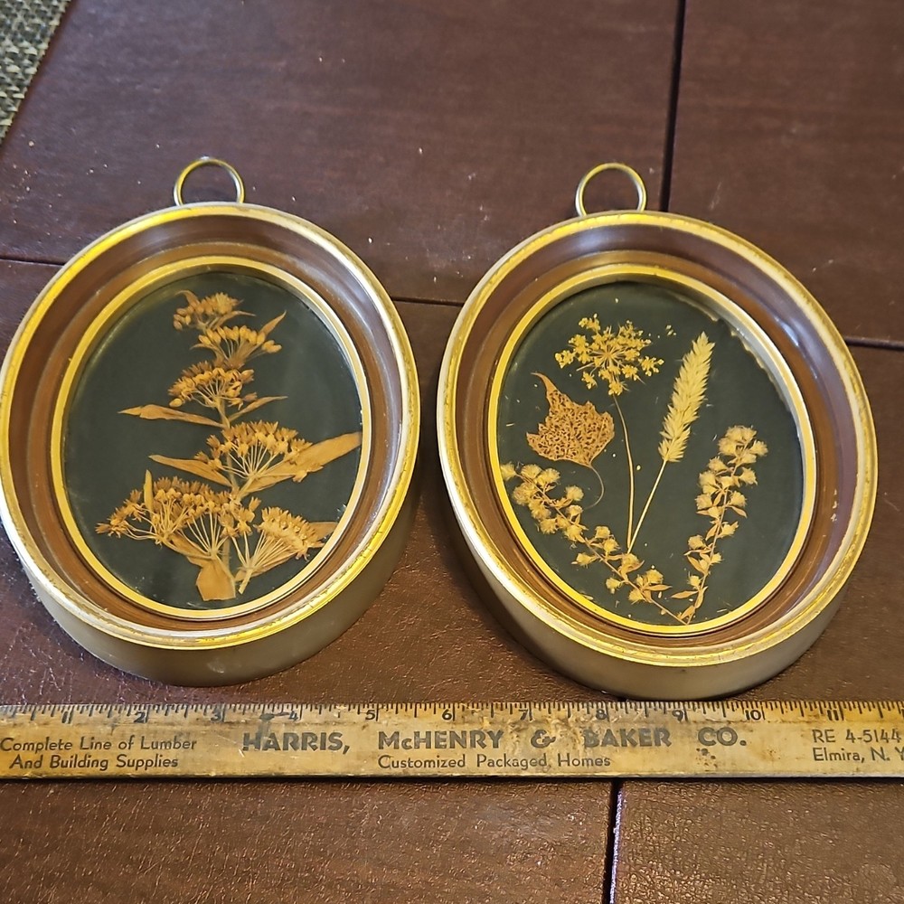 Hope Picture & Frame Co. Oval Pressed Flower Art Set Gold Brown Plastic