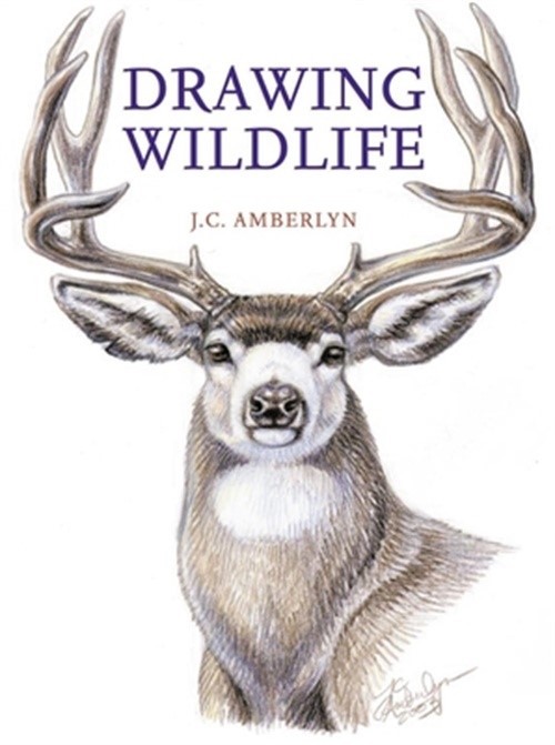 Drawing Wildlife (Paperback or Softback)
