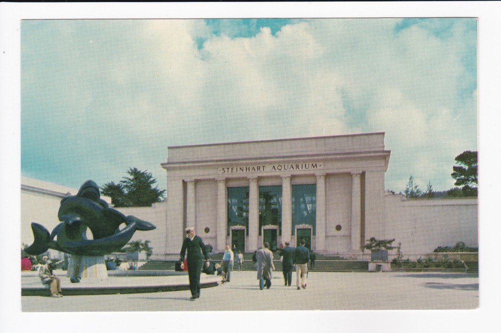 Steinhart Aquarium CA Academy Of Sciences San Francisco CA Chrome Postcard-image