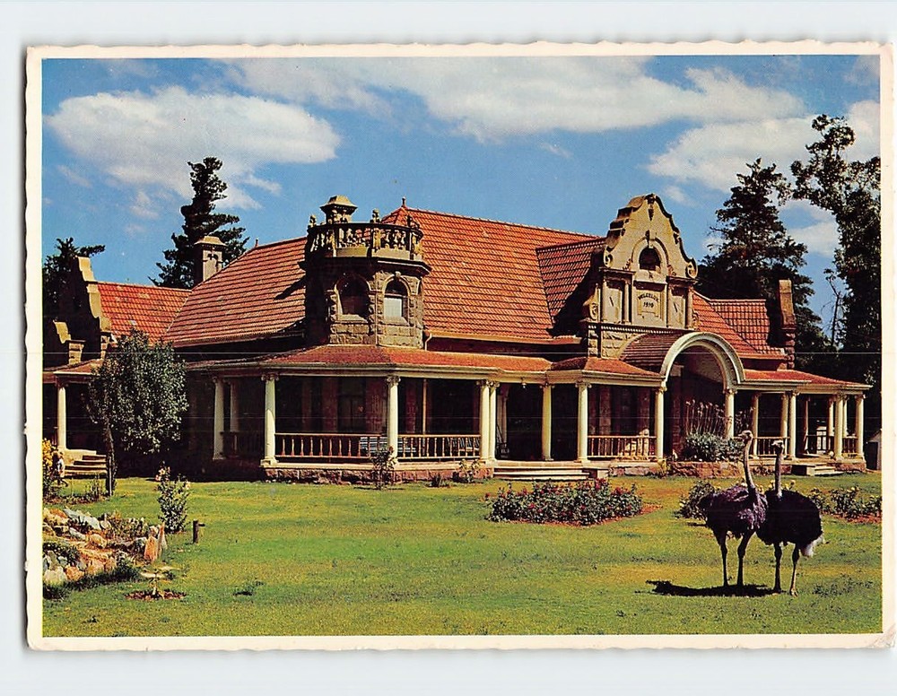 Postcard Ostrich Palace Cape Province South Africa