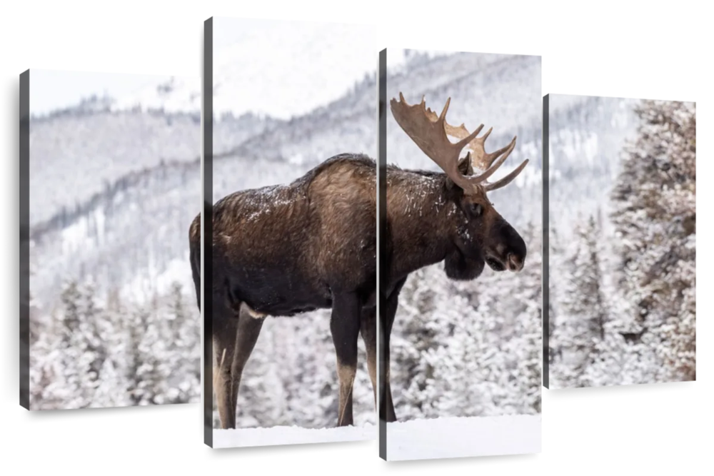 Snowy Moose Wall Art