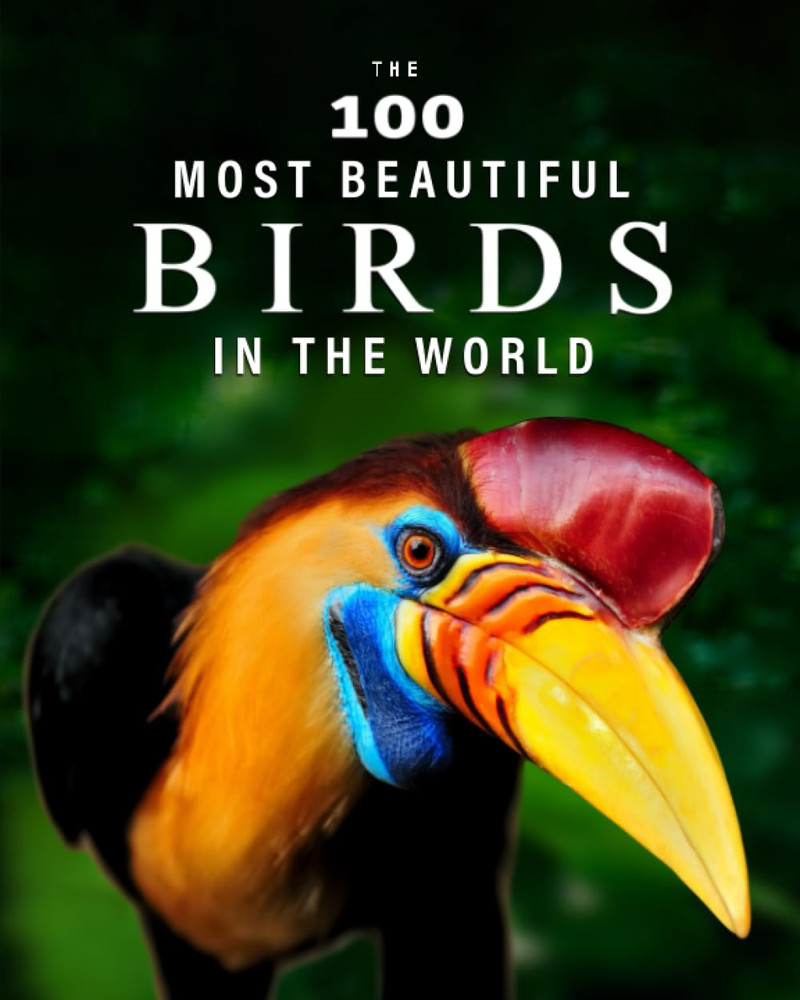 The 100 Most Beautiful Birds in the World: a Minimalist Picture Book for Kids or