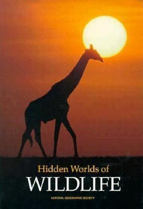 Hidden Worlds of Wildlife Hardcover