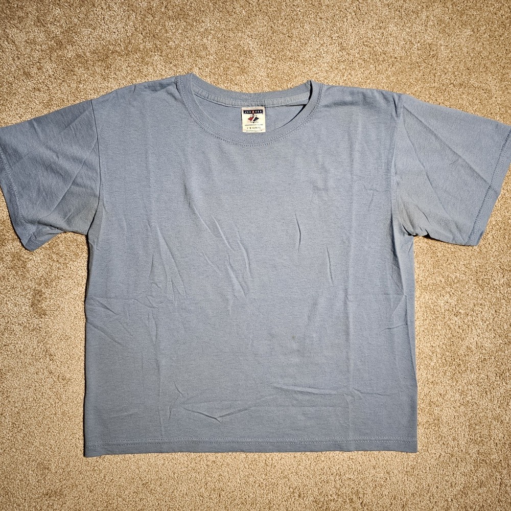 Vtg 90s Y2k Jerzees Faded Blue Blank Mens M T-shirt Distressed Skate Emo Pastel